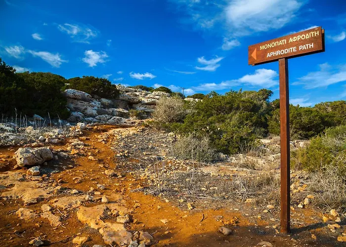 Vila Napa Seaview - 6