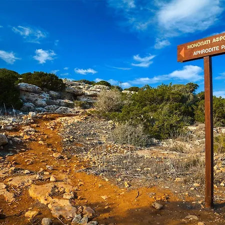 Willa Napa Seaview - 6